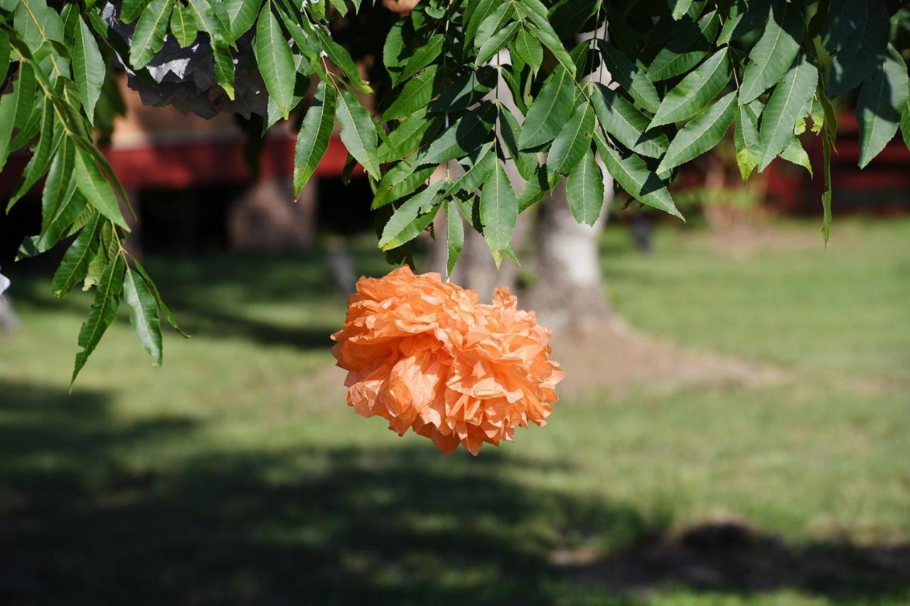 Coulter Farmstead Bed & Breakfast Washington Екстериор снимка